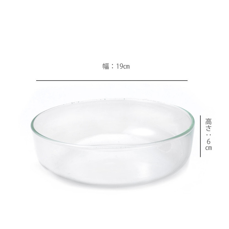 SHESAY Crown Glass Shallow Flat Bowl