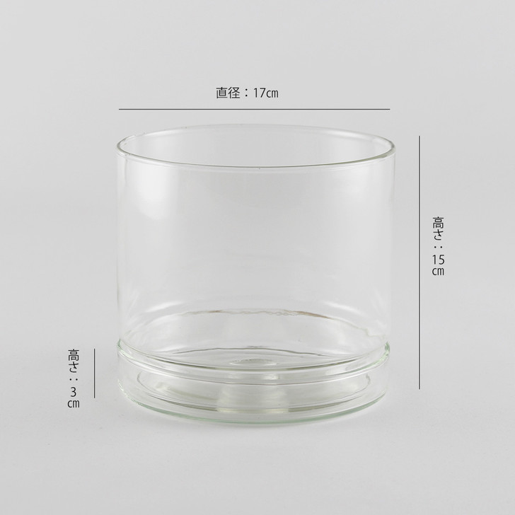 SHESAY Crown Glass Flower Pot with Plate, Straight