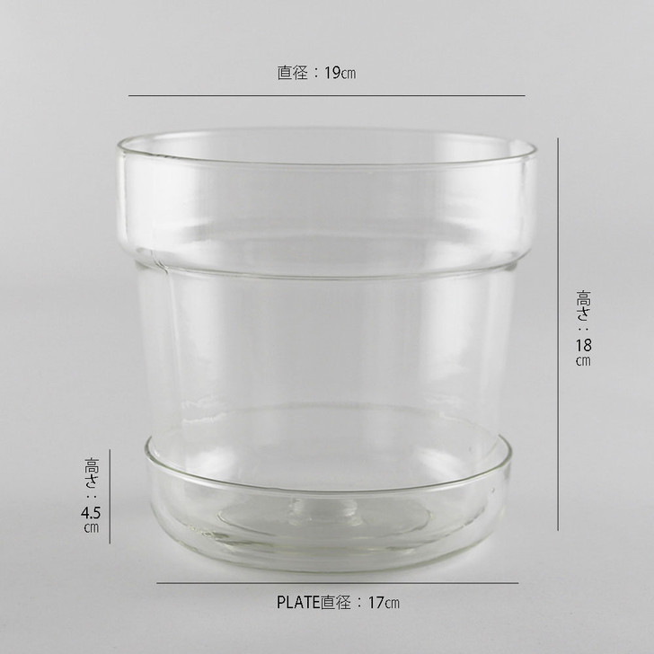 SHESAY Crown Glass Flower Pot with Plate, Tapered