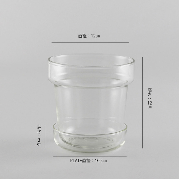 SHESAY Crown Glass Flower Pot with Plate, Tapered