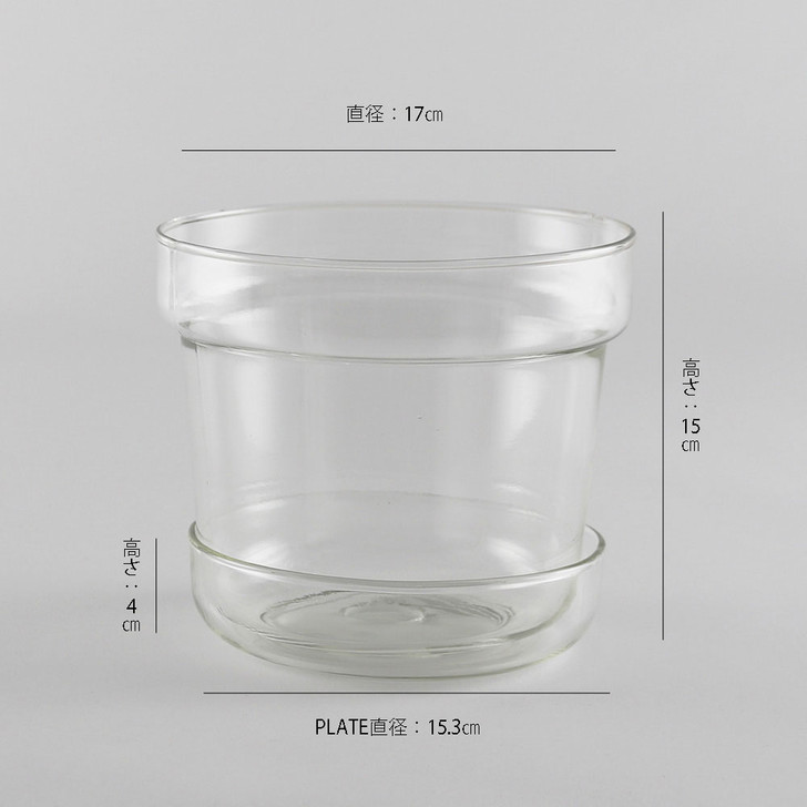 SHESAY Crown Glass Flower Pot with Plate, Tapered