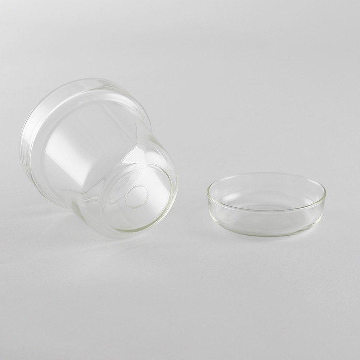 SHESAY Crown Glass Flower Pot with Plate, Tapered