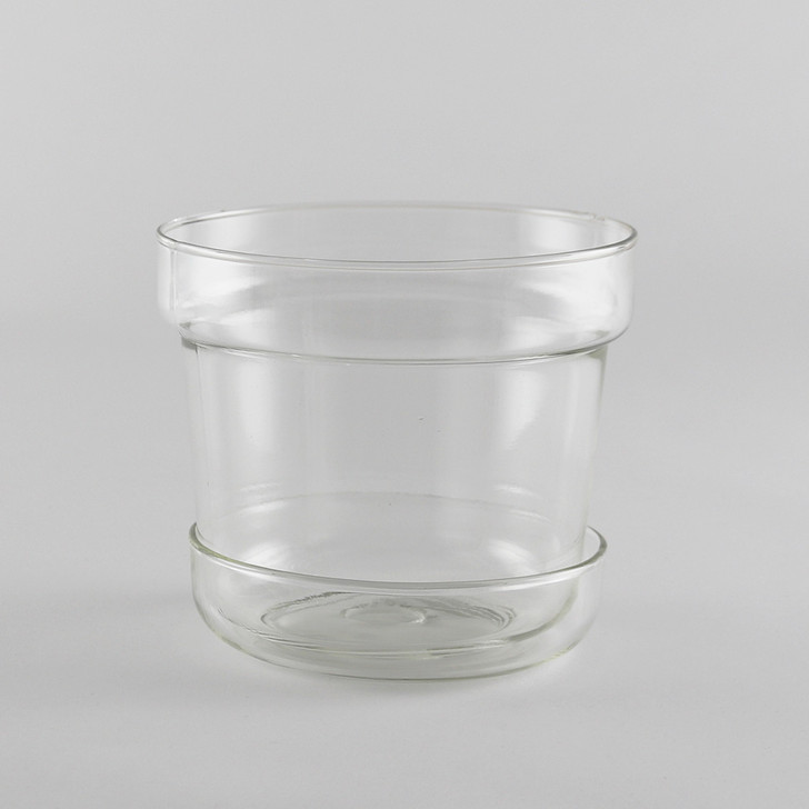 SHESAY Crown Glass Flower Pot with Plate, Tapered