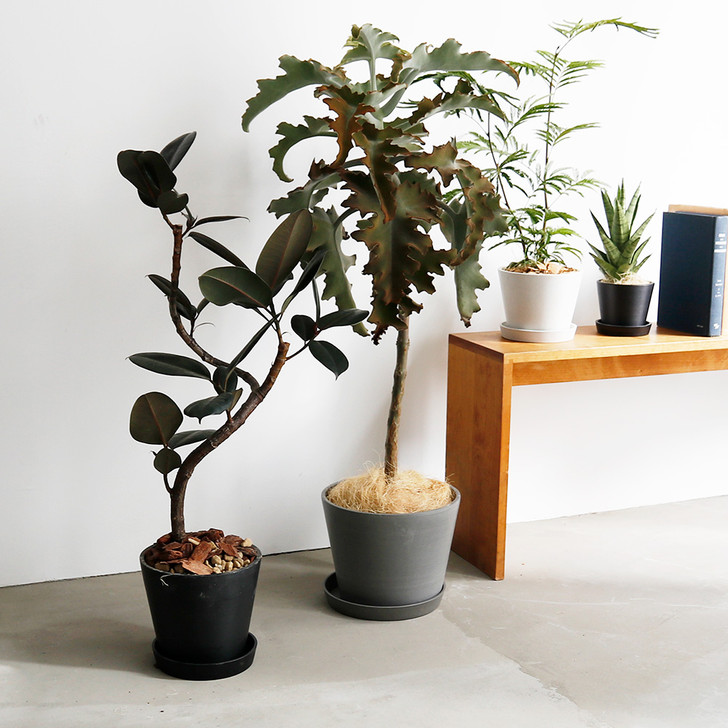 SHESAY Eco-friendly Flower Pot