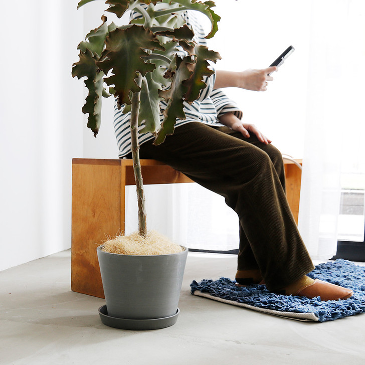 SHESAY Eco-friendly Flower Pot