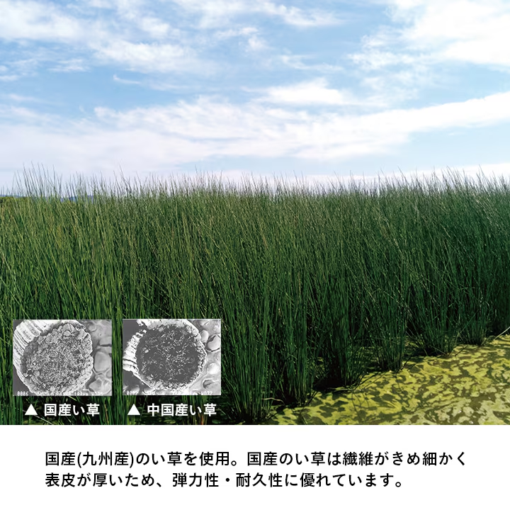 IKEHIKO Modular Tatami Mat, 82cm