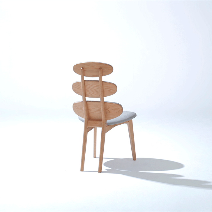 ANE Chair