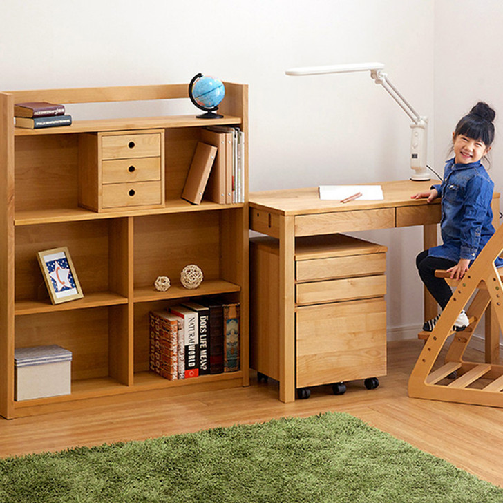 Combination of Desk + Shelf + Wagon