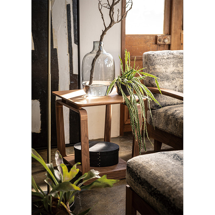 Fuji Koti Living table 