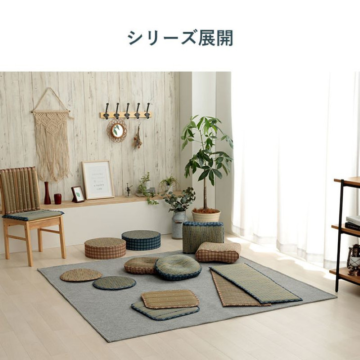 IKEHIKO Leap Rush Enza Cushion