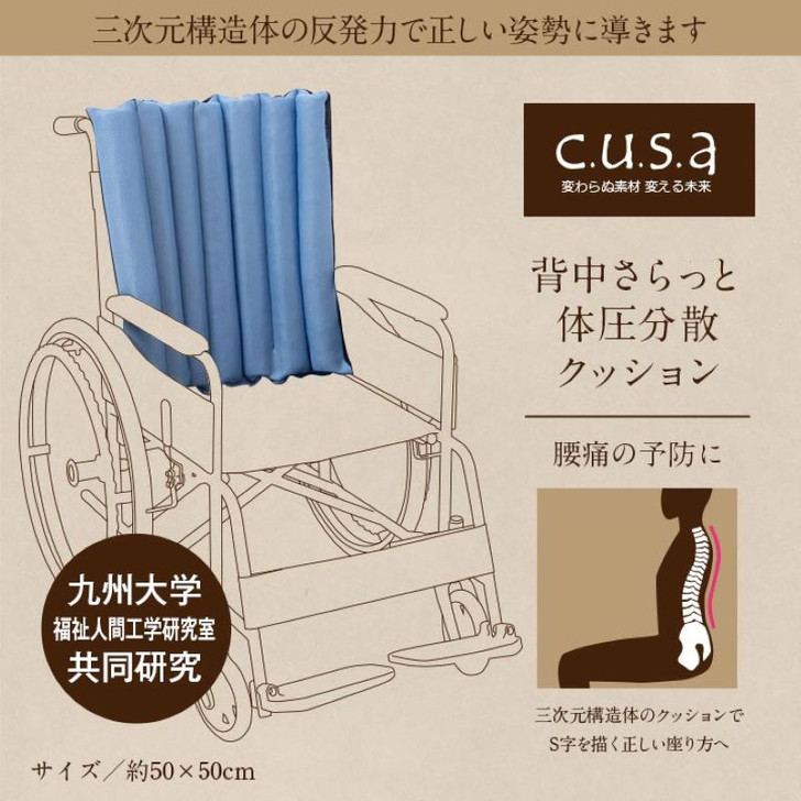 IKEHIKO Healthcare Back cushion