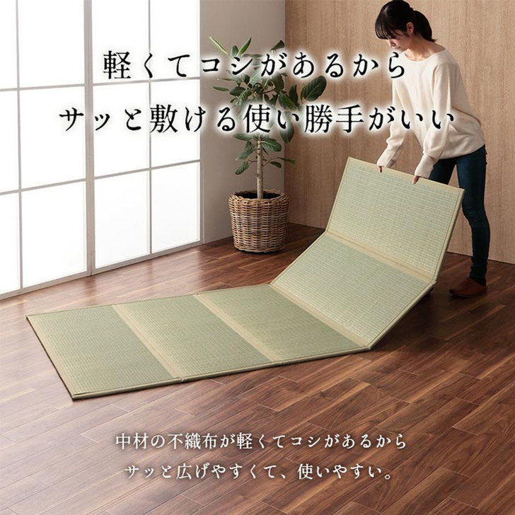 IKEHIKO Foldable Placed tatami mat 5 units Double