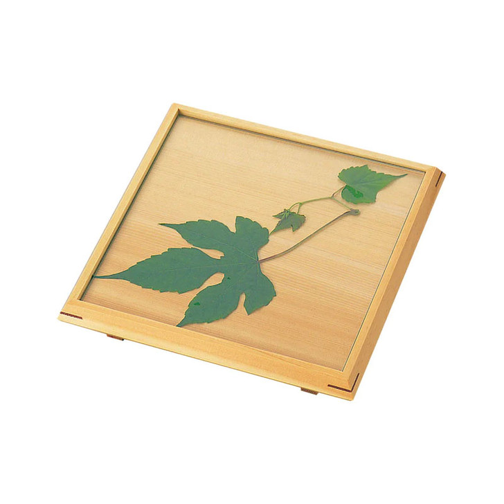 YOUBI Hinoki square appetizer plate (with glass)