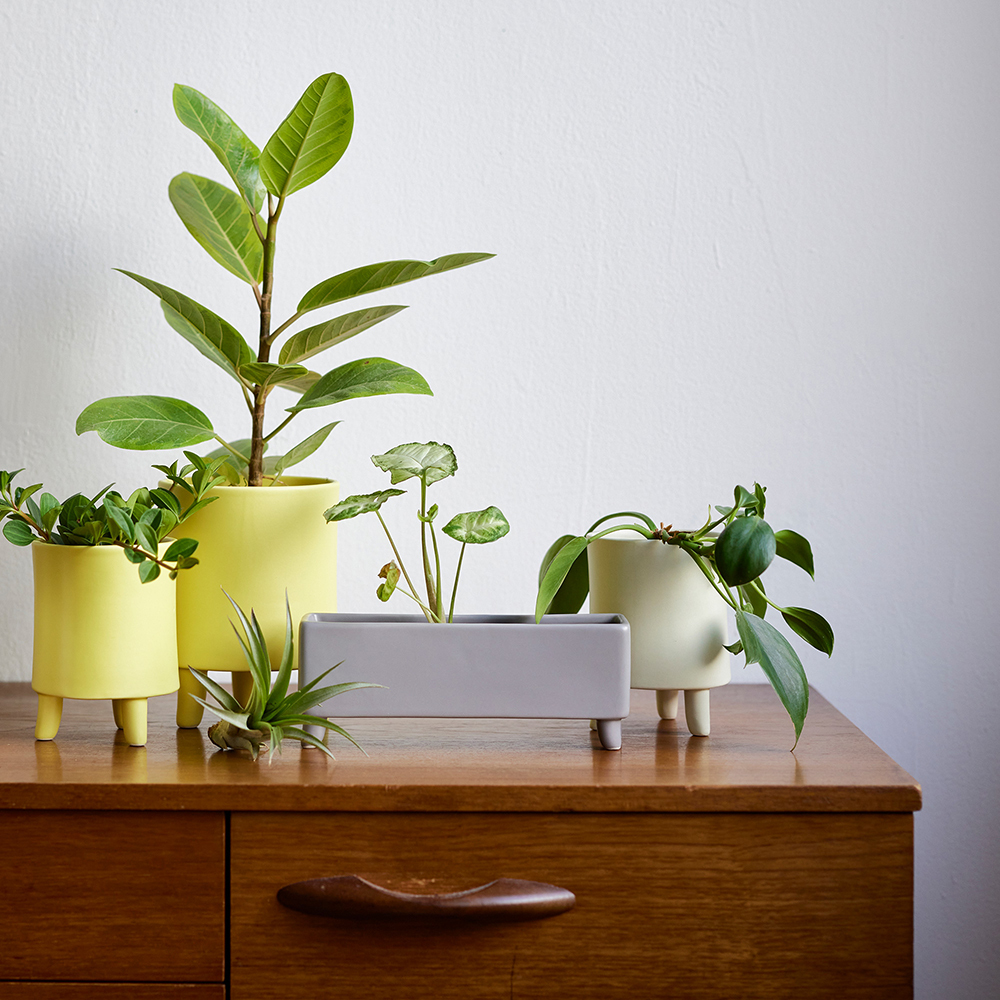 108136-03.jpg 108136-03.jpg