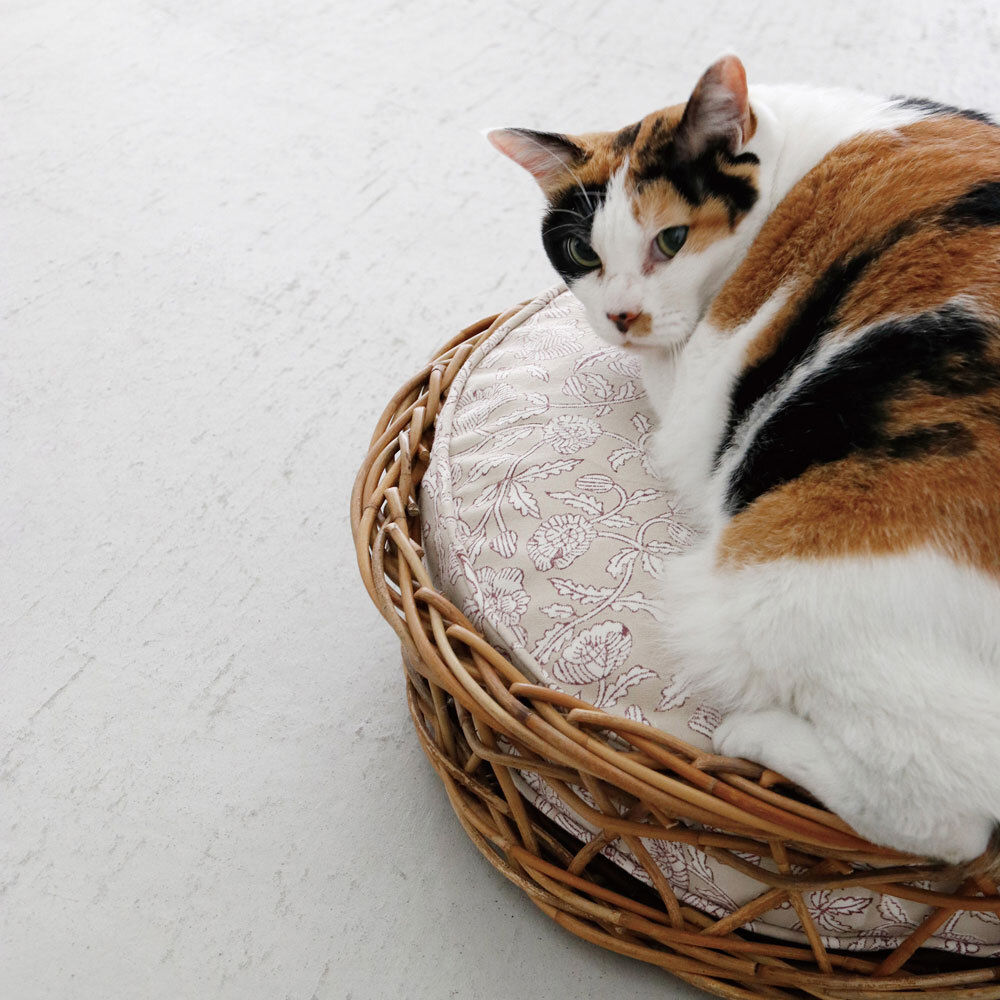 303895-1.jpg 303895-1.jpg