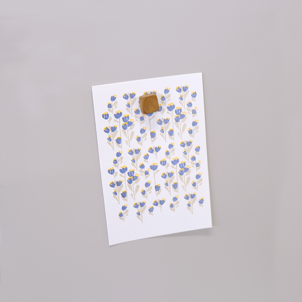 308796-02.jpg 308796-02.jpg