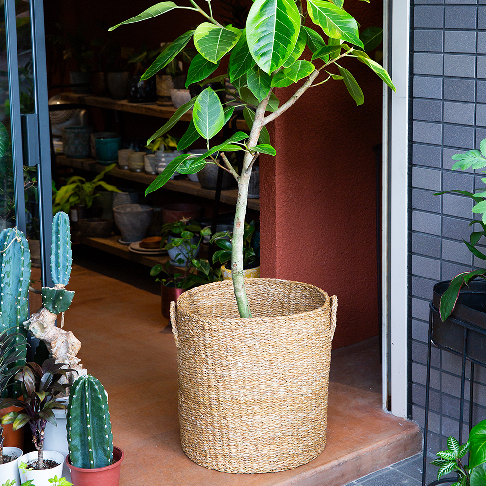 320000-01-03.jpg 320000-01-03.jpg