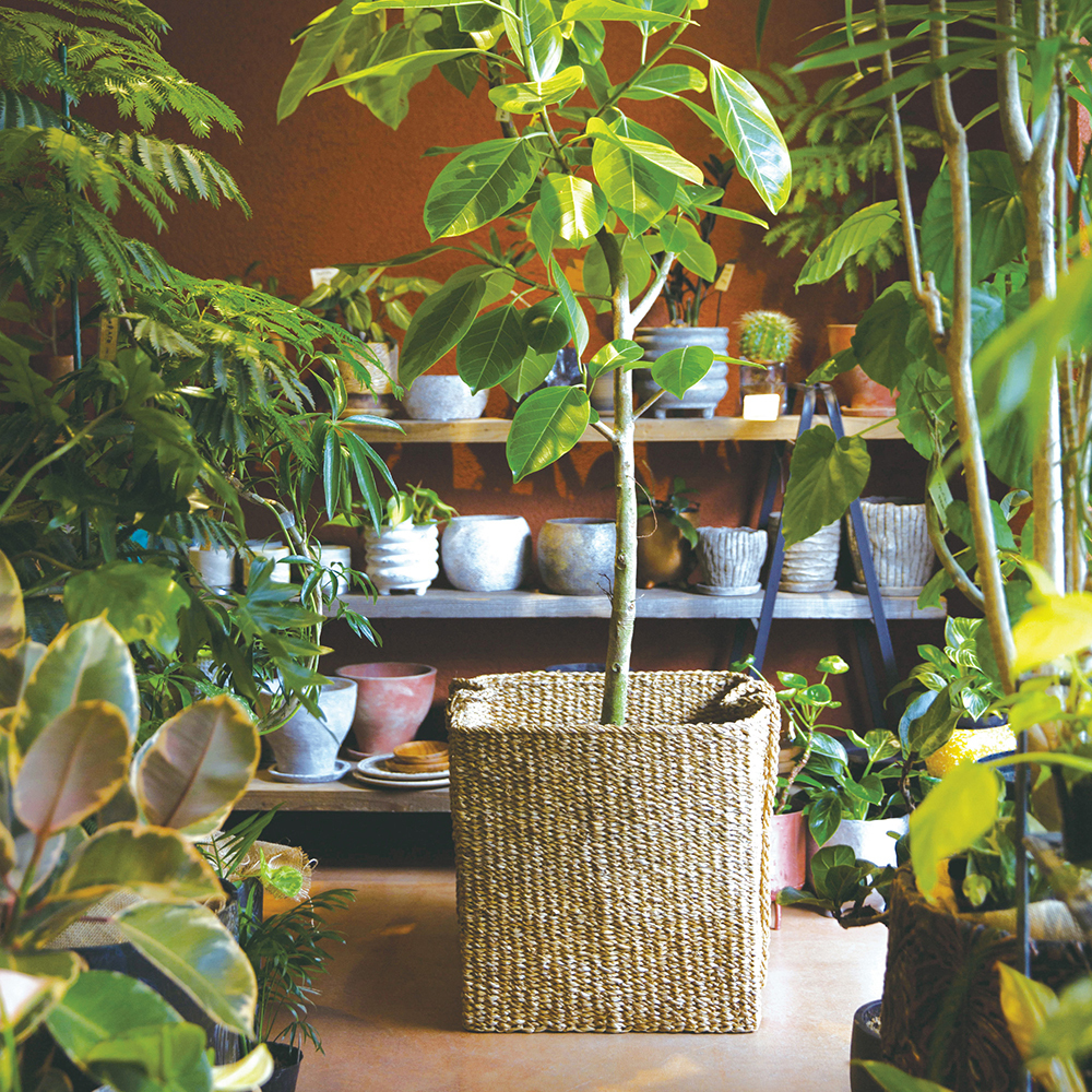 320002-03-02.jpg 320002-03-02.jpg