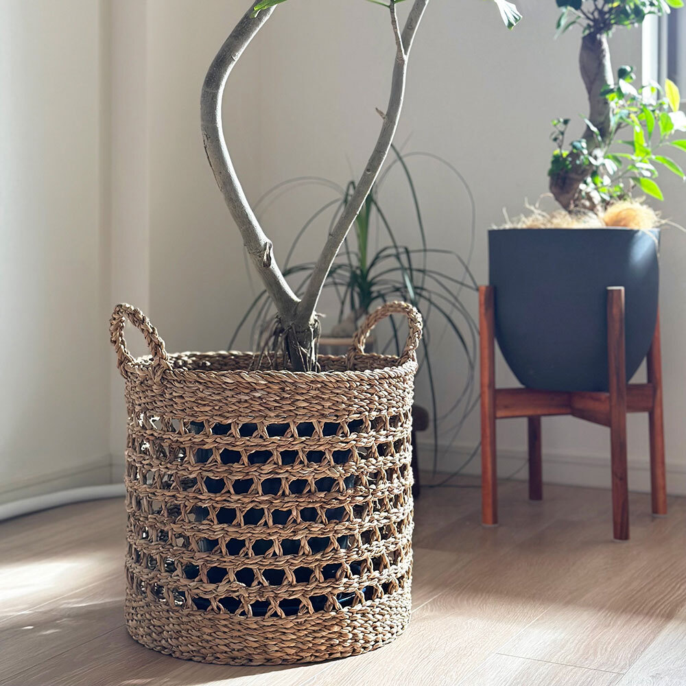 320008-09-03.jpg 320008-09-03.jpg