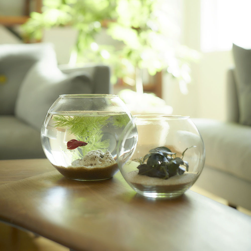 372279-80-1.jpg 372279-80-1.jpg