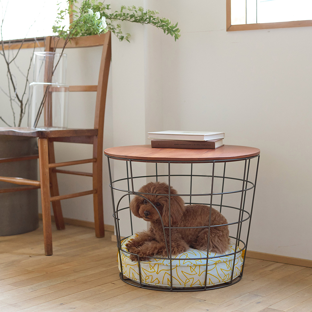 423622-4.jpg 423622-4.jpg