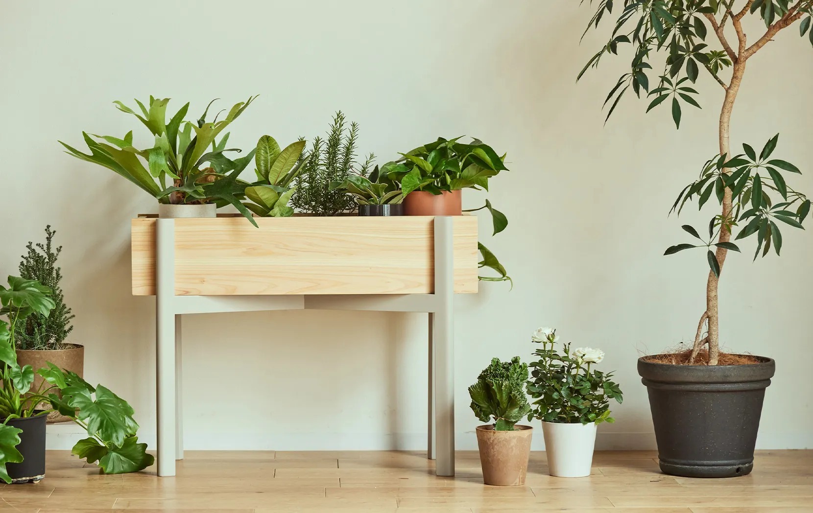9x9planter-2-.jpg