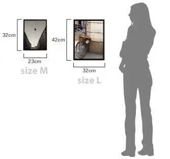 dc-photoml.jpg