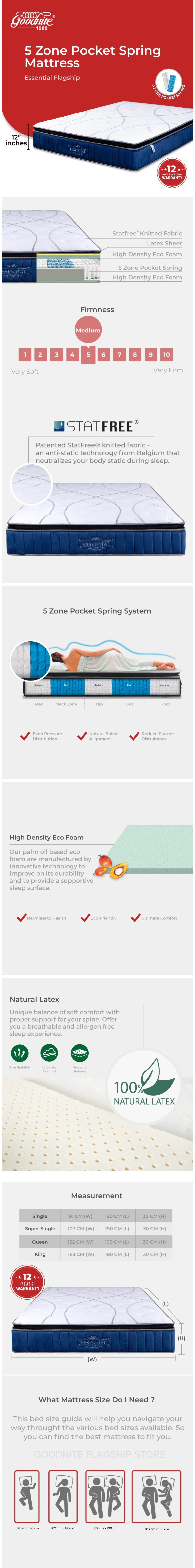 essential-flagship1.png