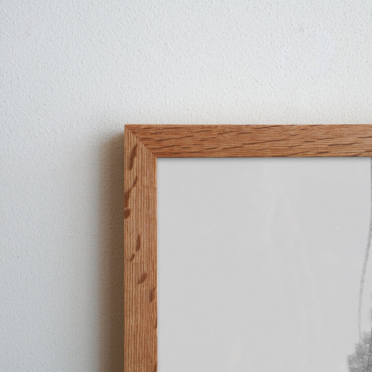 frame-sano1.jpg
