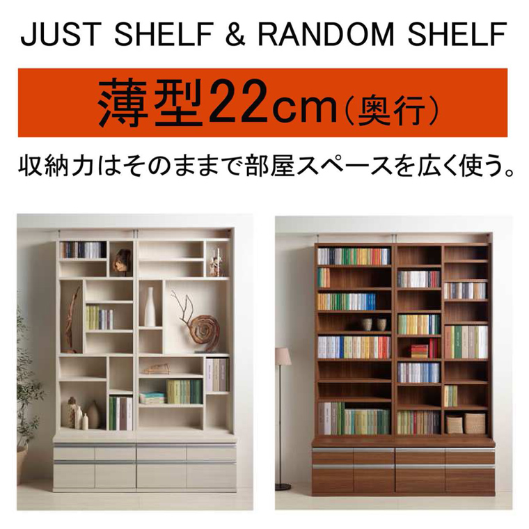 just-random-shelf1.jpg