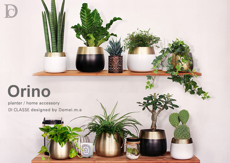 orino-main01.jpg