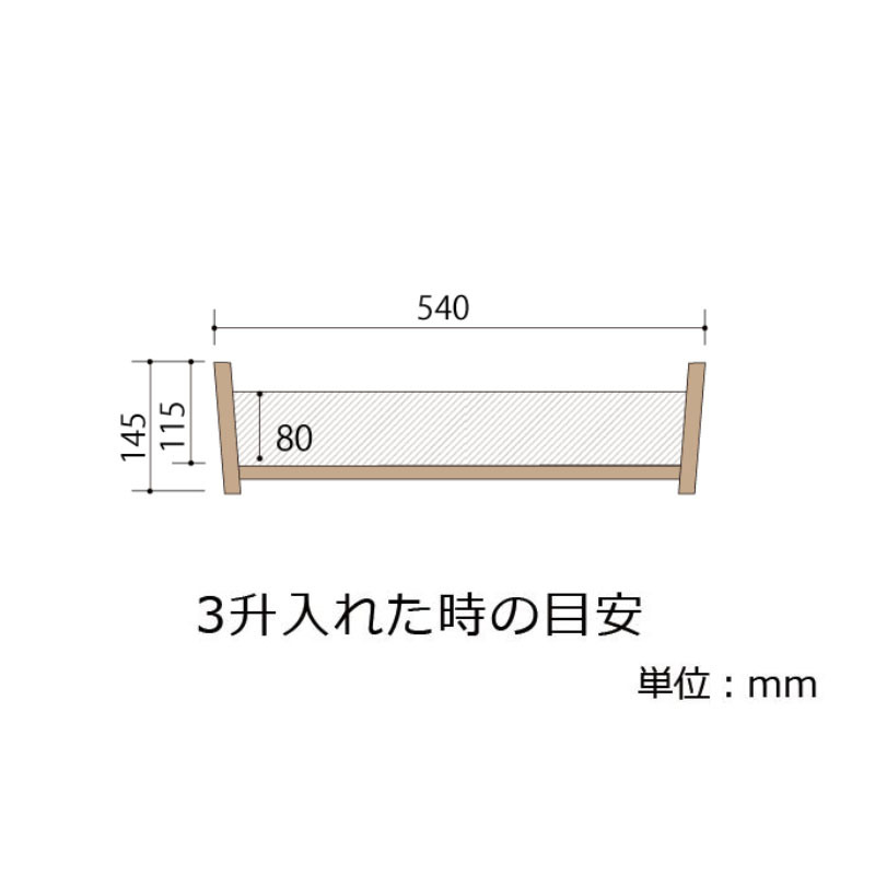 shimizu-16.jpg