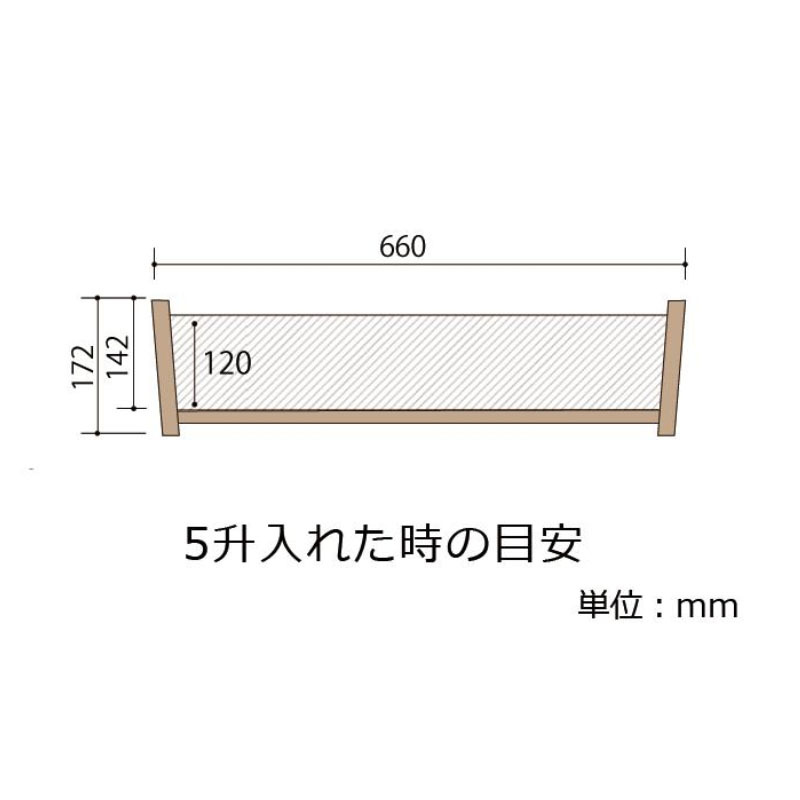 shimizu-25.jpg