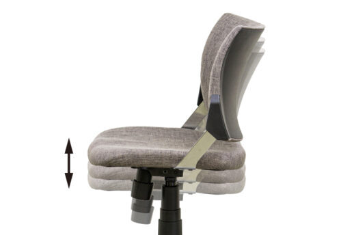 spinear-2-.jpg