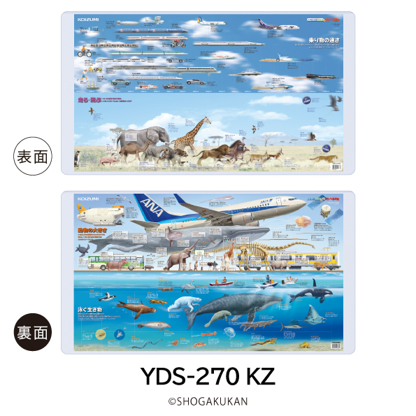 yds270-2-.jpg
