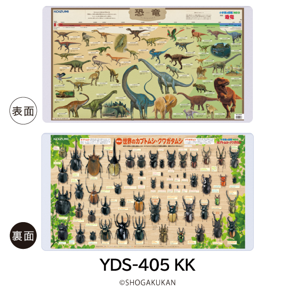 yds405-2-.jpg