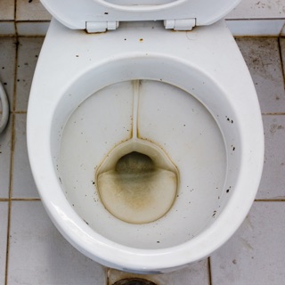 A toilet bowl with hard-water rings and stains