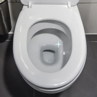 A sparkling clean white toilet bowl