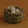 Small Bird Nest