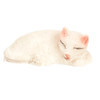 White Cat Sleeping (IM65445)