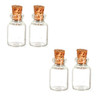 27mm Glass Bottles Set, 4pc (AZG7222)