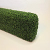 Partial view (end) of dollhouse hedge