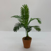 Small Palm Plant (UFN3006)
