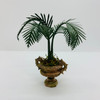 Palm in Urn (UFN3009); different lighting