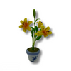 Lilies in Pot/Yellow (AZG7409)