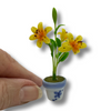 Lilies in Pot/Yellow shown with fingers for scale (AZG7409)