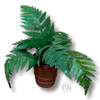 UFN3038 - Fern in Small Pot