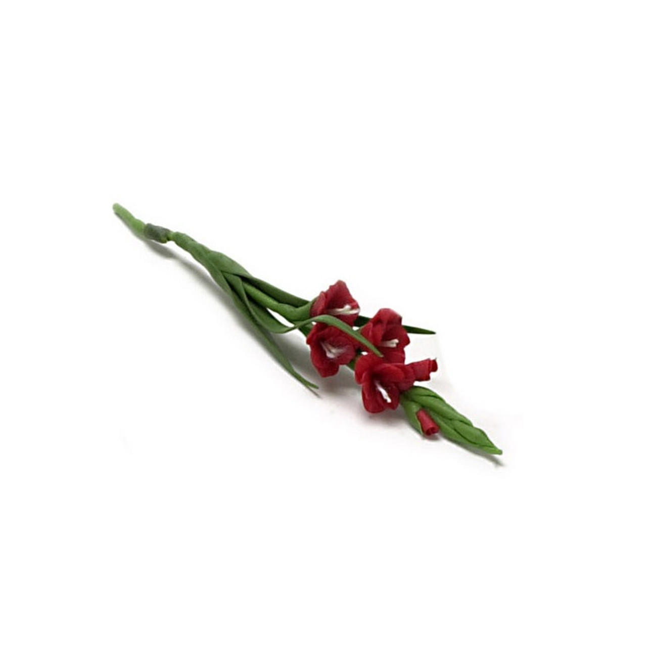 Gladiolus Red, 2 Stems