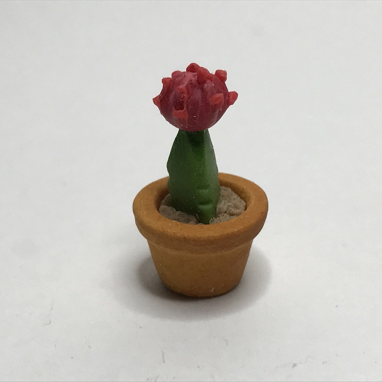 Cactus w/Red Flower