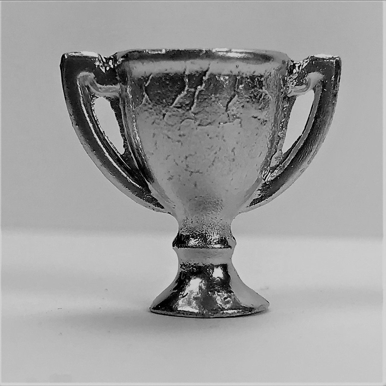 Silver Trophy Cup (MUL3684)